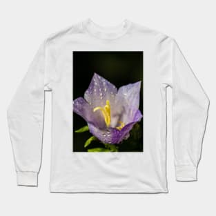 Bellflower 1 Long Sleeve T-Shirt